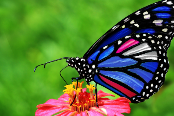 Navigating Change: Living Between Who You Were and Who You Are Becoming